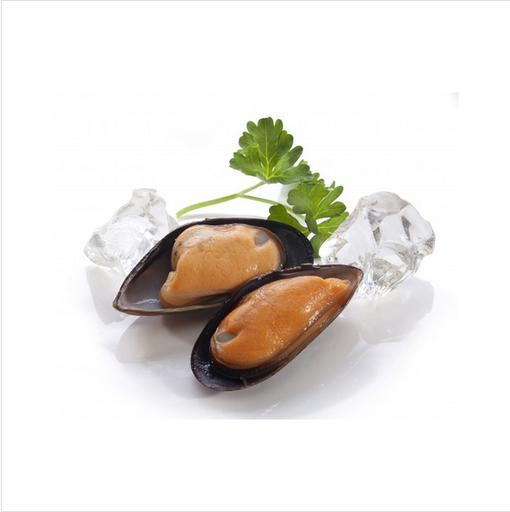 [ORF221] Half Shell Mussels Packet x 800g