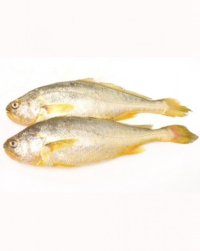 [ORF316] (Pack)Yellow Croaker Scaled and Gutted 400-800g x 3kg