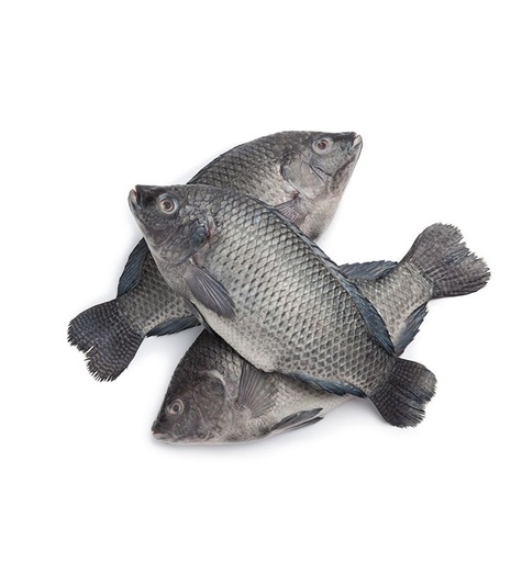 [ORF306] (packet)Whole Black Tilapia 2.5kg